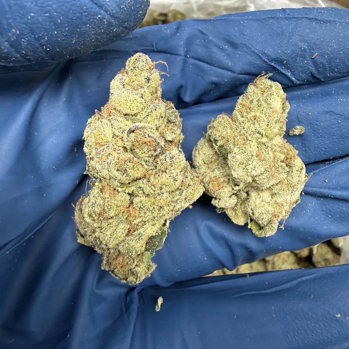 Fruit Loops Flower